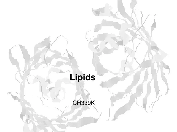 lipids