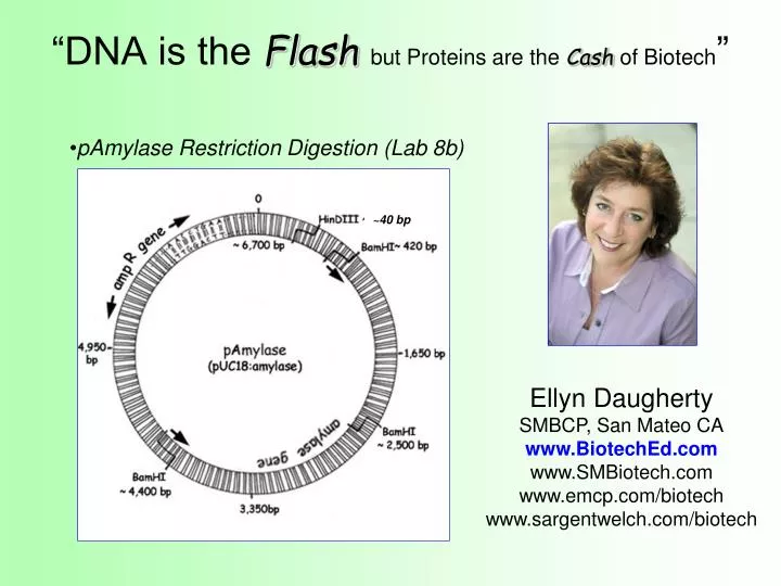 dna is the flash but proteins are the cash of biotech