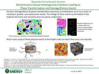 Mesoscale Priority Research Direction Microstructure Based Heterogeneity Evolution Leading to Phase Transformation and