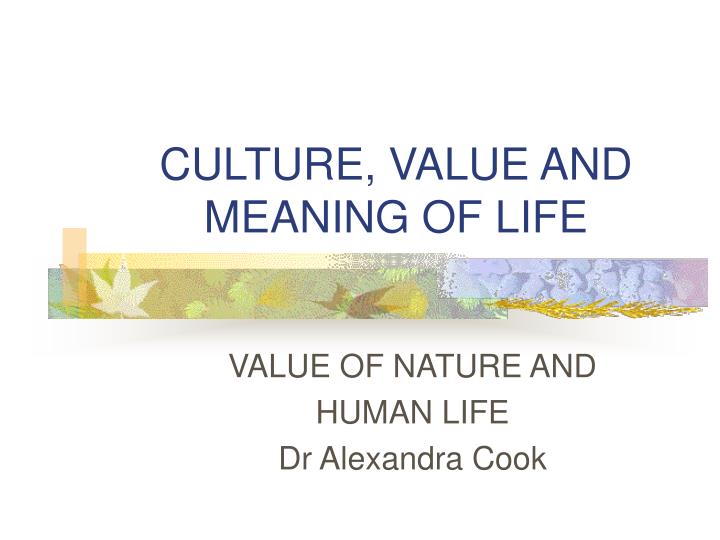 culture value and meaning of life