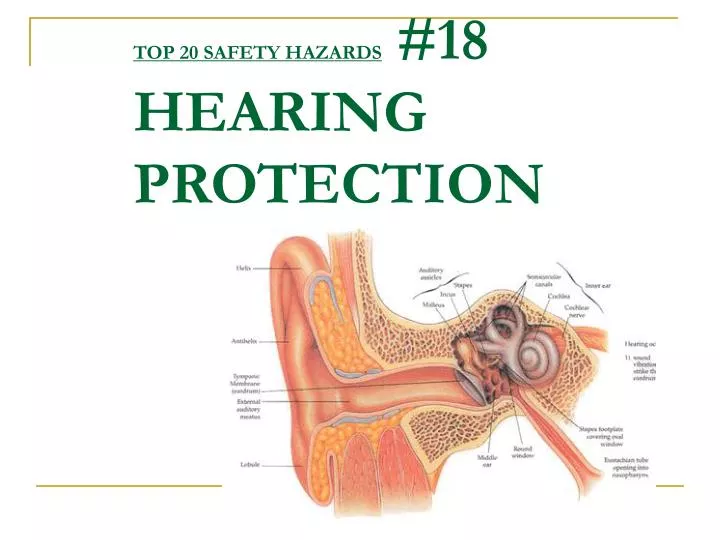 top 20 safety hazards 18 hearing protection