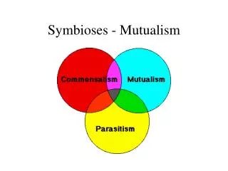 Symbioses - Mutualism