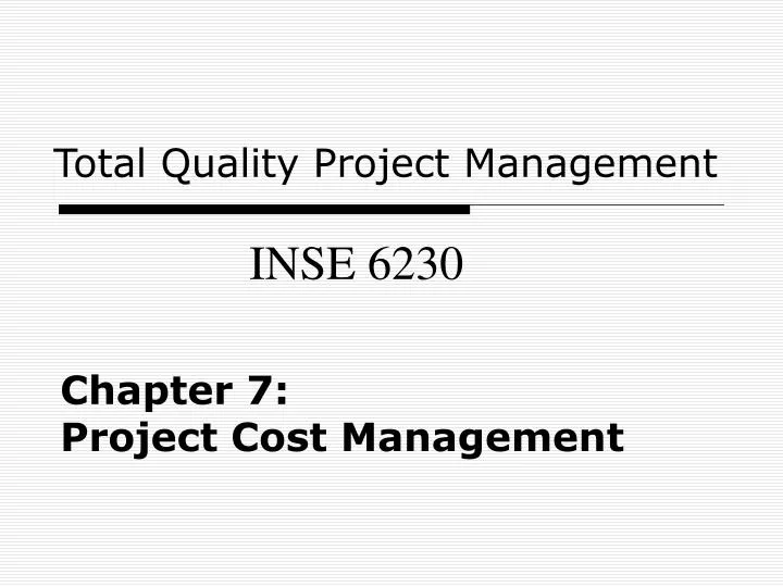 chapter 7 project cost management