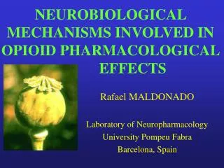 NEUROBIOLOGICAL MECHANISMS INVOLVED IN OPIOID PHARMACOLOGICAL 		EFFECTS