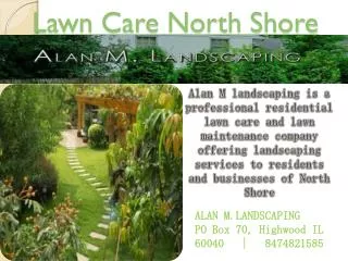 Lawn Care service in North Shore