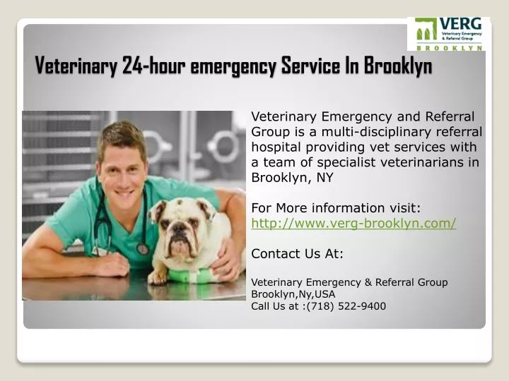 veterinary 24 hour emergency service in brooklyn