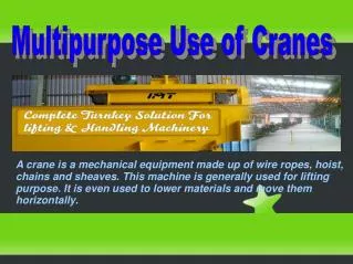 Multipurpose Use of Cranes