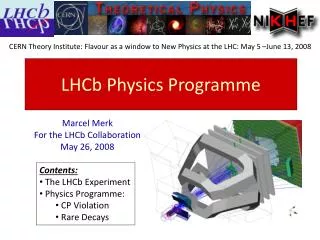 LHCb Physics Programme