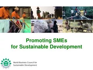 Promoting SMEs for Sustainable Development