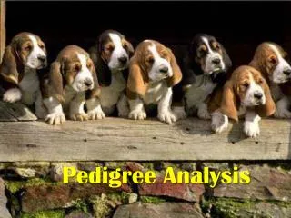 pedigree analysis