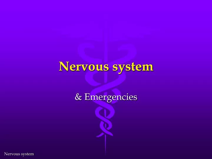 nervous system