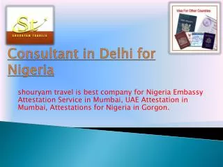 visa consultant in delhi for nigeria