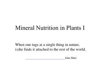 Mineral Nutrition in Plants I