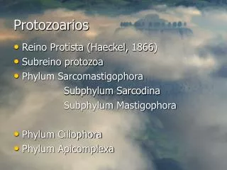 protozoarios