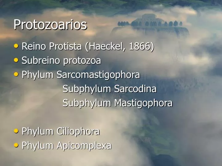protozoarios