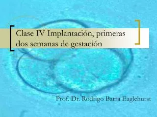 clase iv implantaci n primeras dos semanas de gestaci n