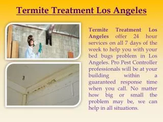 Termite Treatment Los Angeles