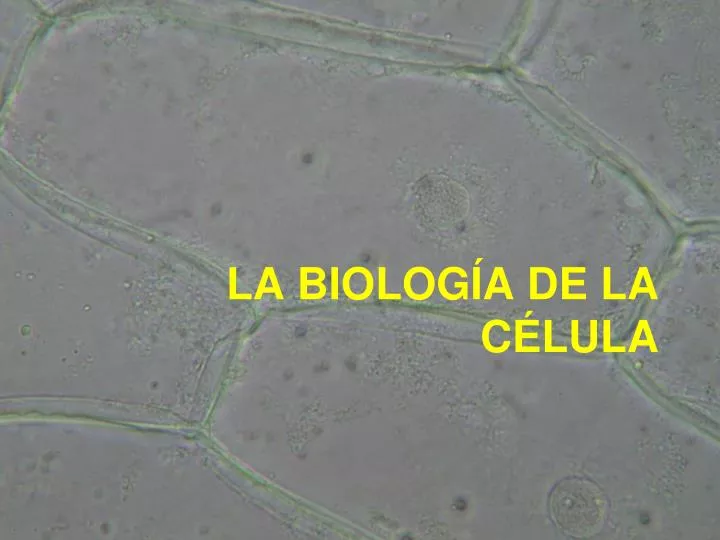 la biolog a de la c lula