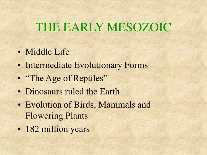 the early mesozoic