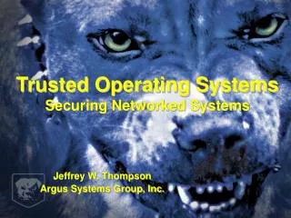 Trusted Operating Systems Securing Networked Systems
