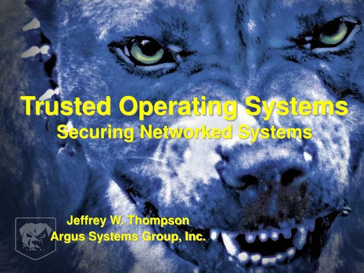 trusted operating systems securing networked systems
