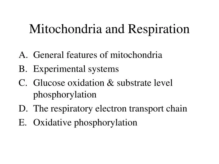 mitochondria and respiration