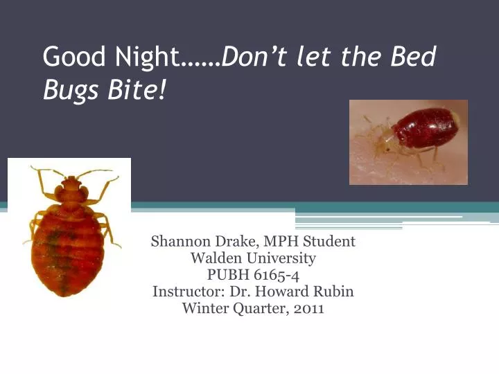 good night don t let the bed bugs bite