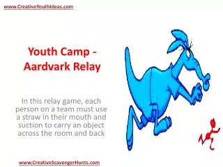 Youth Camp - Aardvark Relay