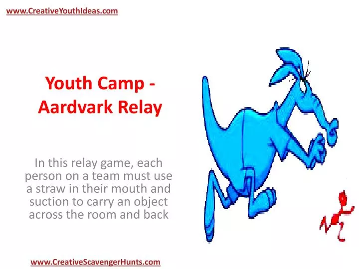 youth camp aardvark relay