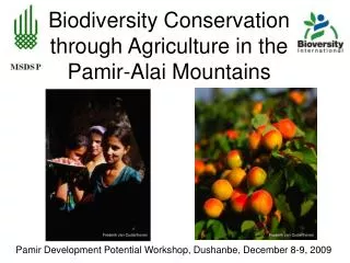 Biodiversity Conservation through Agriculture in the Pamir-Alai Mountains