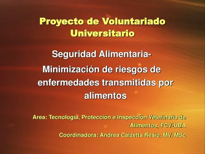 proyecto de voluntariado universitario