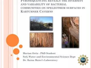 Pyrosequencing reveals the diversity and variability of bacterial communities on speleothem surfaces in Kartchner C