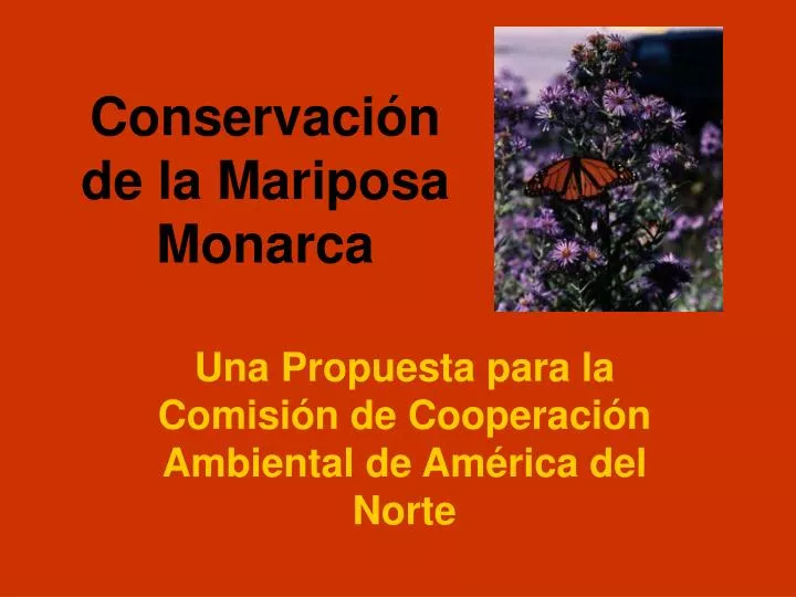 conservaci n de la mariposa monarca