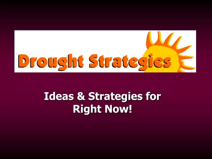 ideas strategies for right now