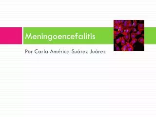 meningoencefalitis