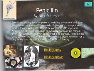 Penicillin By Nick Petersen