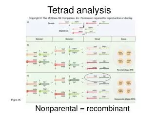 Tetrad analysis