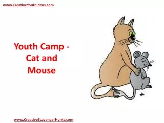 Youth Camp - Cat and Mouse