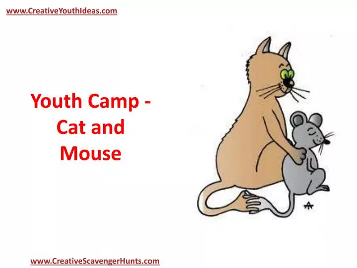 youth camp cat and mouse