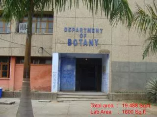 DEPARTMENT OF BOTANY