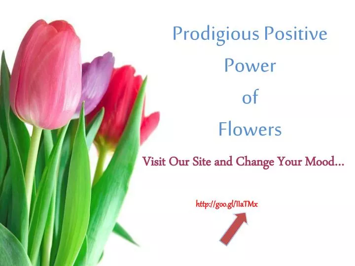 prodigious positive power of flowers