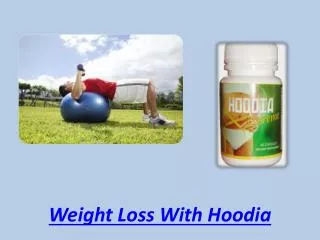 Weight Loss With Hoodia