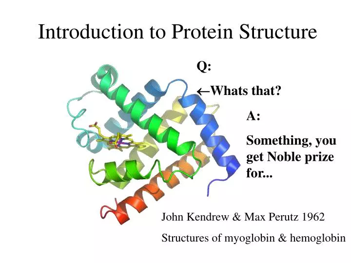 introduction to protein structure