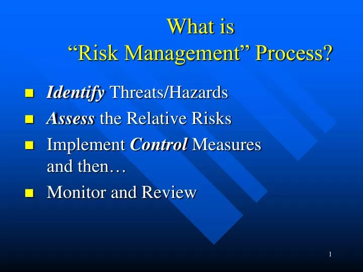 what is risk management process