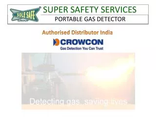 Portable Gas Detector, Multi and Single Gas Detector