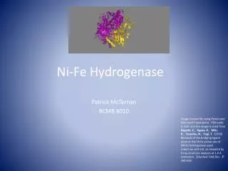 Ni-Fe Hydrogenase