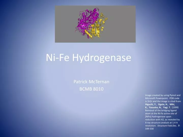 ni fe hydrogenase