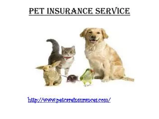 PetCare Pet Insurance