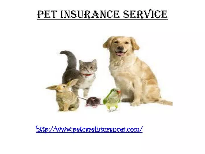pet insurance service