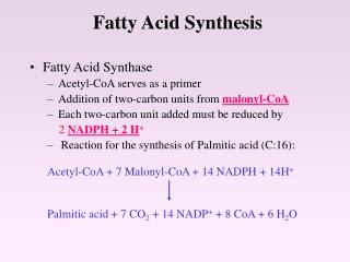 fatty acid synthesis